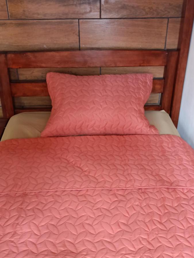 Budget Hostel Guatemala Екстериор снимка